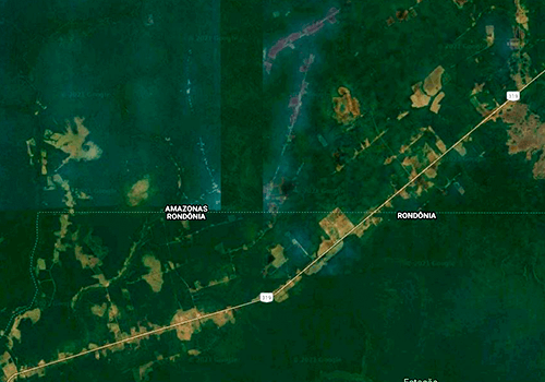 Divisa de Rondônia / Amazônas e BR 319